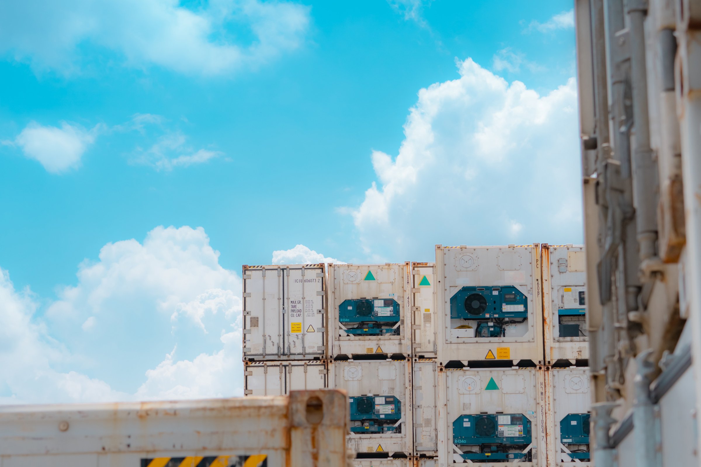 Container Logistic for Shipping Frozen Food